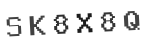 Verification Code Image